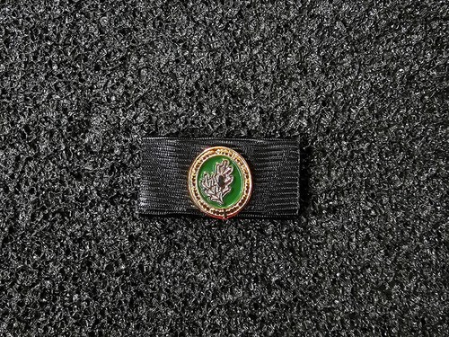 Bandspange bundeswehr - (s1-205),